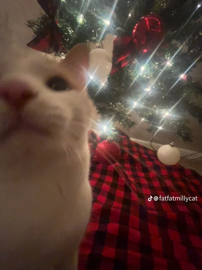 04fac1eabcf49a459b8bce9ef20b5014 - kopie