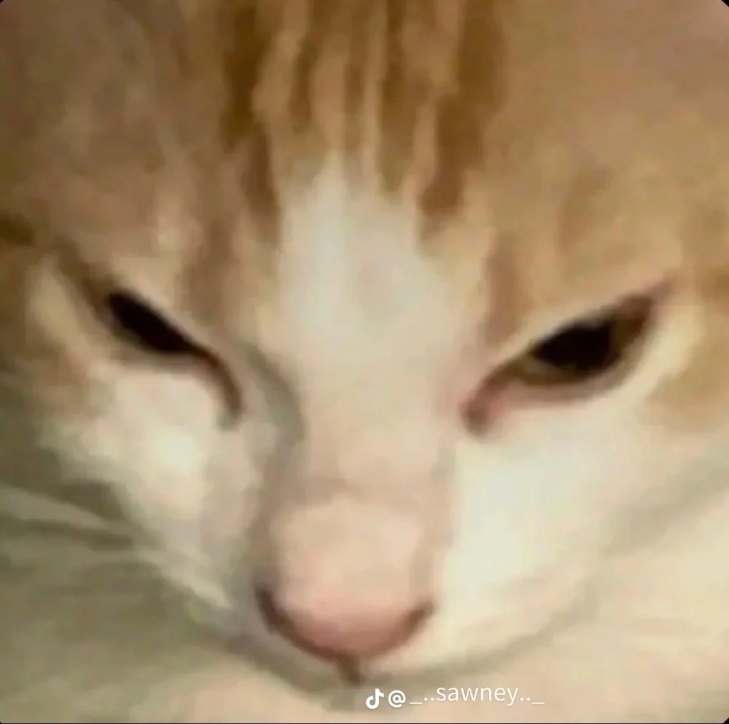 2fe5ce0b6e0d2363a0f1c849c919767d - kopie