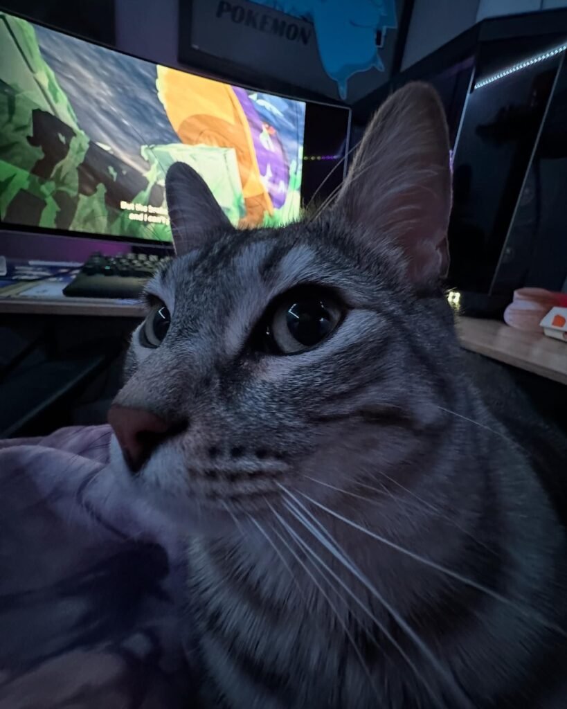 zazubabyman-20241108_063659-2161267292